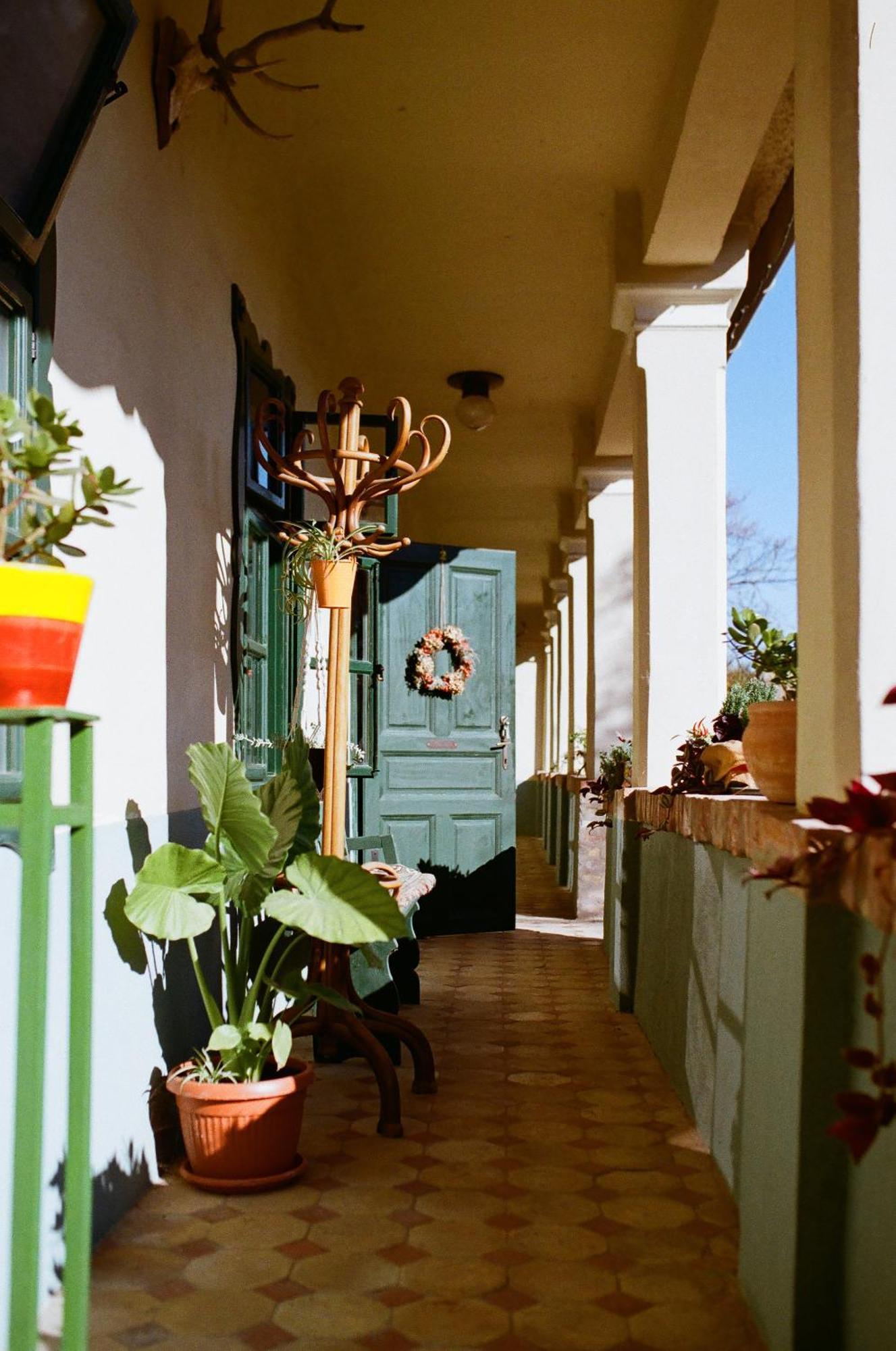 Tradicionalna Kuca Biljkinog Oca Villa Lug Exterior photo